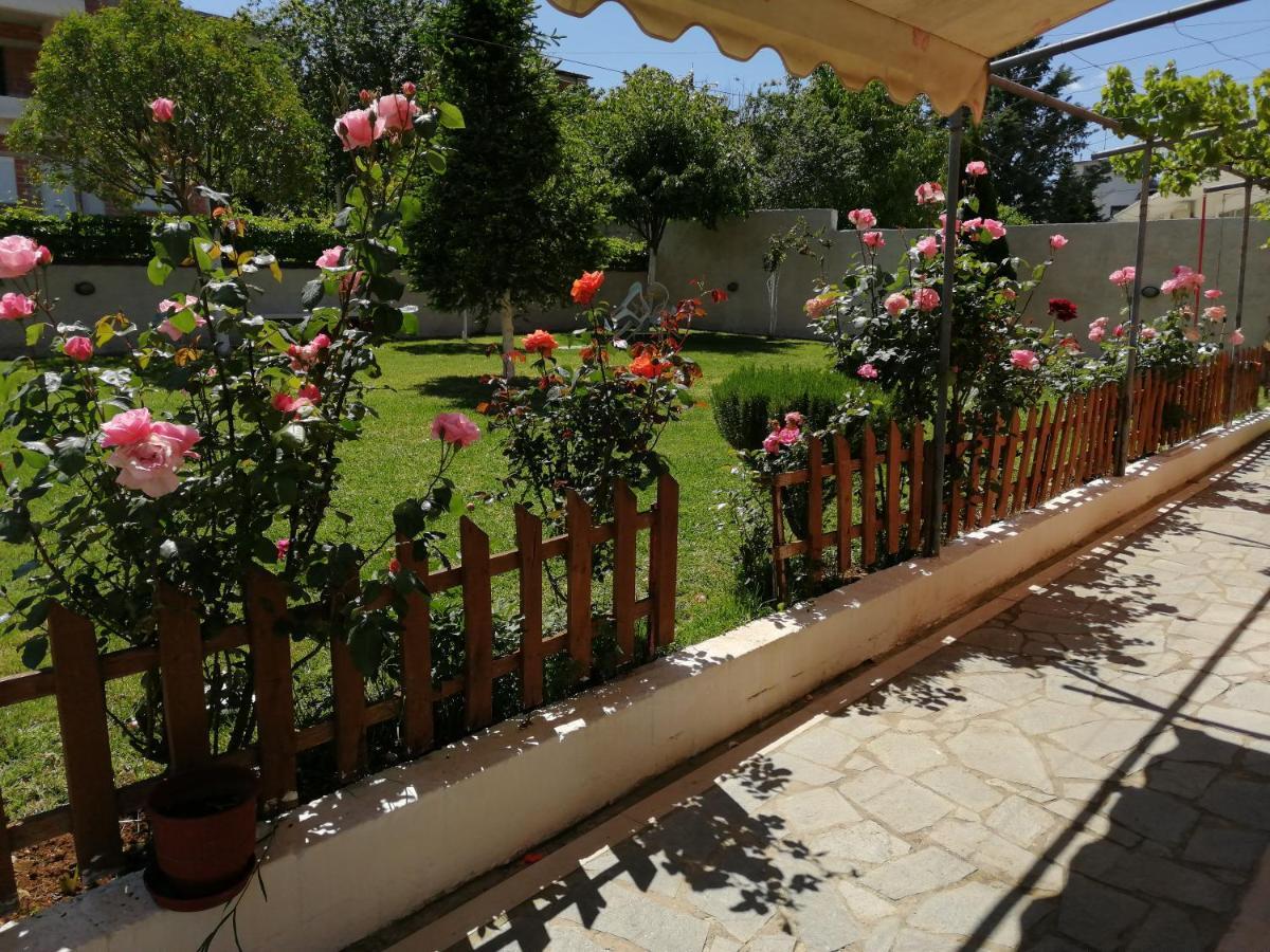 New Loft Polixeni Apartment Ioannina Exterior photo