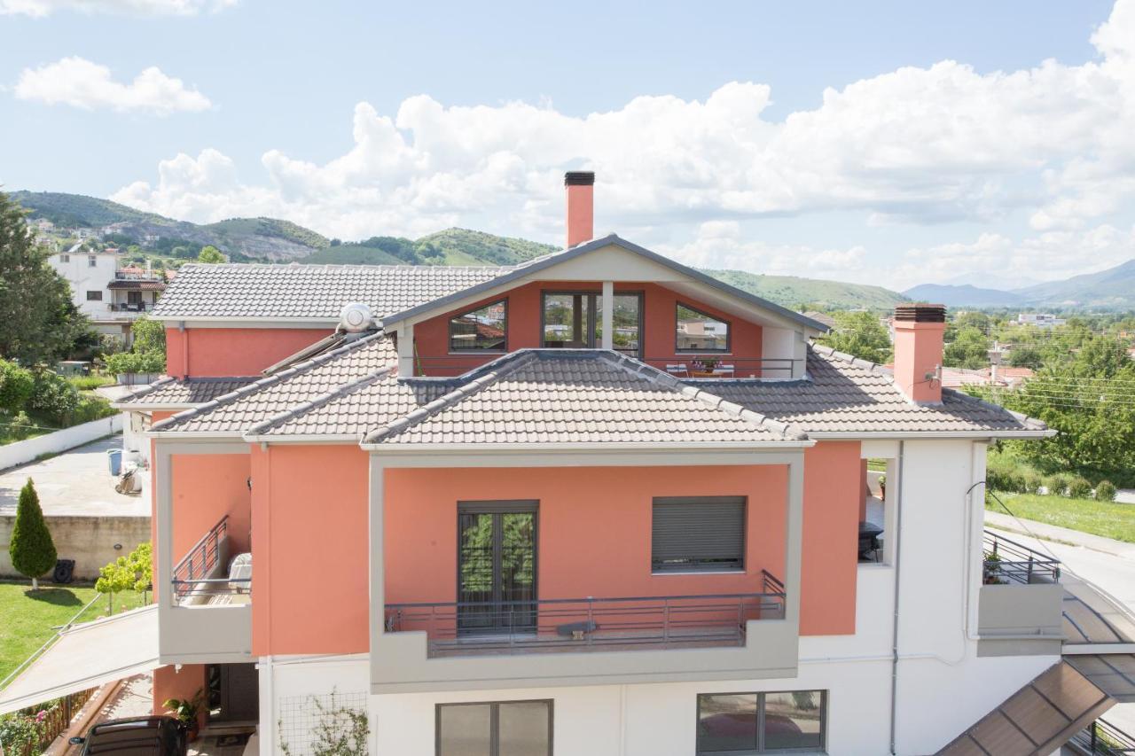 New Loft Polixeni Apartment Ioannina Exterior photo