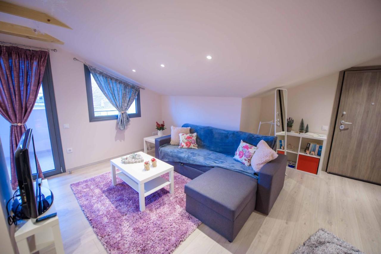 New Loft Polixeni Apartment Ioannina Exterior photo